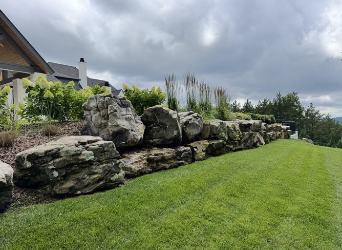 Limelight-type hydrangeas and tall ornamental grasses planted above a natural boulder outcrop beside a lawn